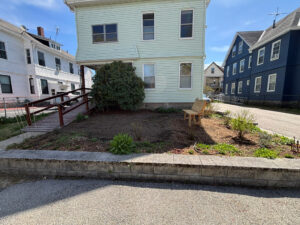 A three-decker sits in shade as sun starts to illuminate where grass has been removed and mulched over. A bench serves as a manmade focal point.