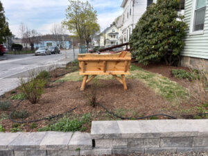 A stone wall borders a lawn replacement project. A bench sits prominently near the middle. A black trickle hose coils around shrubs to deliver water.