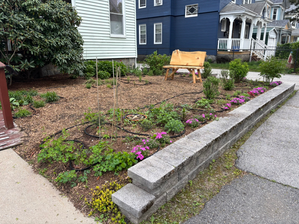 A walkway to a wooden ramp is at left. Ahead is a stone wall about one foot high. Behind the wall is a mulched area with plantings.